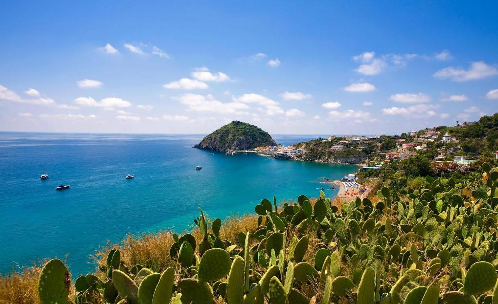 Hotel Vittorio Beach Resort Barano d'Ischia Exterior photo